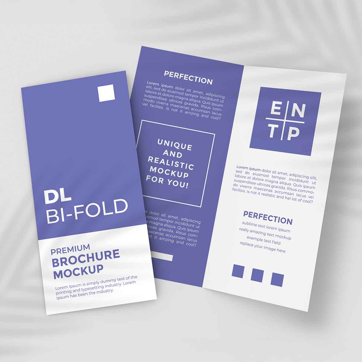 A photo of Gate Fold Leaflets Printing from Fullspectrumpm.co.uk